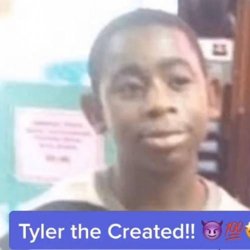 Do y’all like Tyler the created