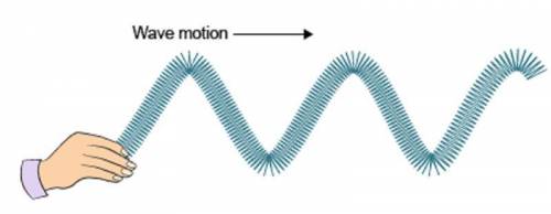 What is the motion of the particles in this kind of wave?A. The particles will move up and down over