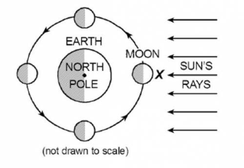 Refer to the model below. A science student is camping with her family for one month at Stone Mounta