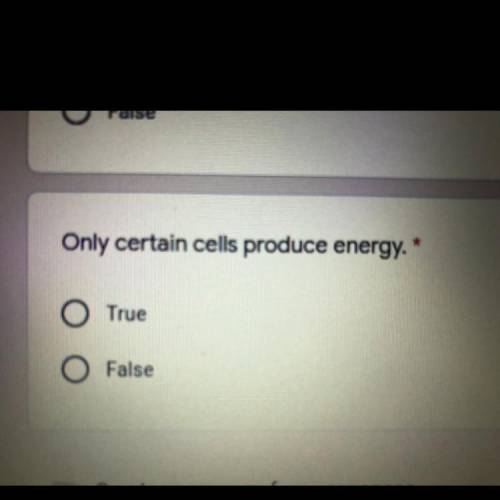 Do all cells produce energy