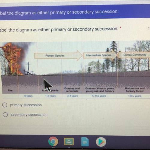 Is this primary or secondary succession?