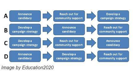 The above chart shows possible steps to take when starting a political campaign. Which of the four p
