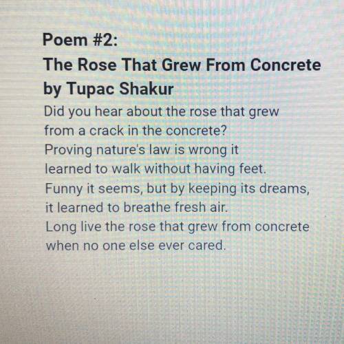 How does this poem make you feel?