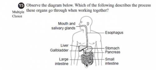 The organs work together to regulate hormone levels in the body. The organs work together to extract