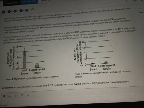 Provide reasoning to justify the claim that the change in the amino acid sequence in the modified RN