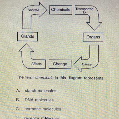 The term chemicals in this diagram represents  A. Starch molecules  B. DNA molecules  C. Hormone mol