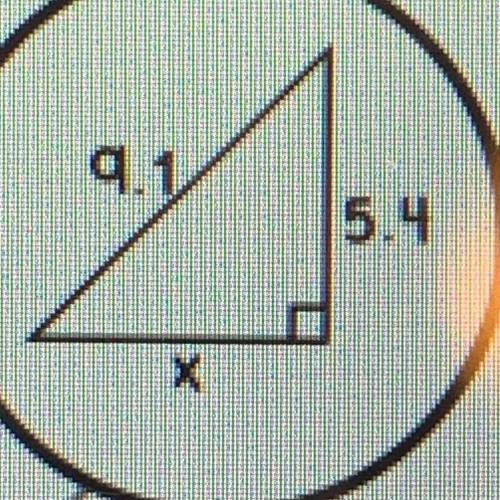 How much is x? Round it to the nearest tenth.