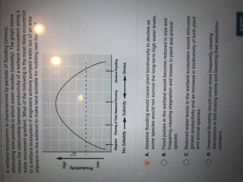 Hi I could use some help on this! I think the answer is A bit i’m not sure