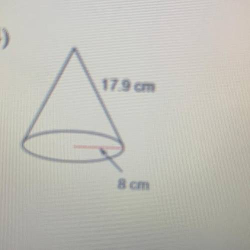 What’s the surface area ? ( rounded to the nearest tenth )