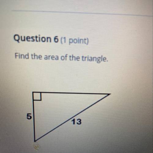 Find the area of the triangle. 5 13