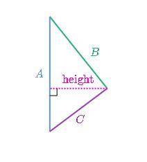 A height is labeled on the triangle below. Which line segment shows the base that corresponds to the