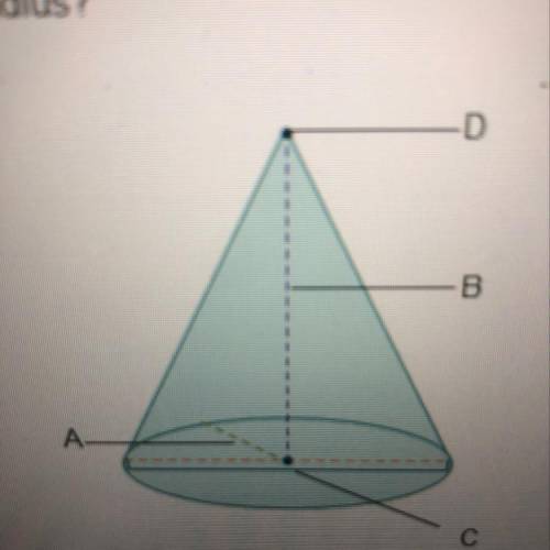 Which label on the cone below represents the radius? A В С D D