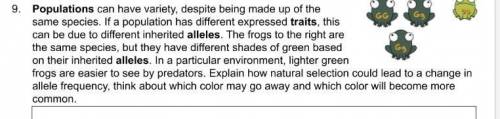 How natural selection could lead to a change in allele frequency, think about which color may go awa