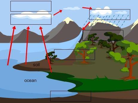 PLEASE HELPDrag each label to the correct location on the image. Identify the stages of the water cy