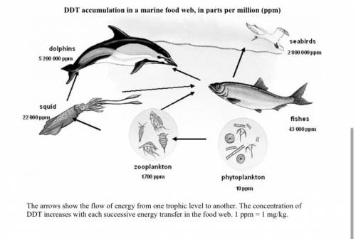 DDT has also been identified as a cancer-causing chemical. In light of these findings, which is the