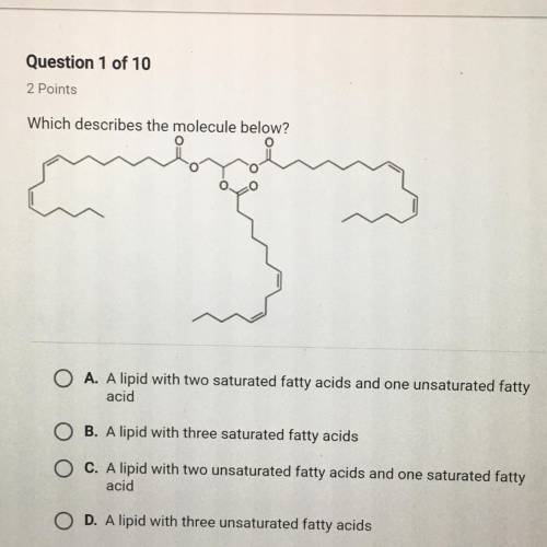 Which describes the molecule below??