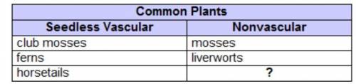 The chart lists some common types of plants. Which best completes the chart?sporophytesseaweedshornw