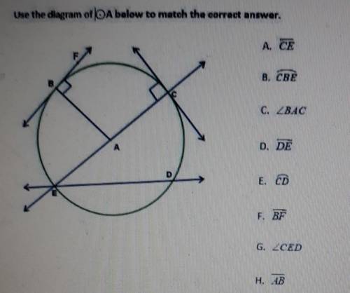 Best Answer Gets Brainliest 1.Which Letter represents the diameter?2which letter represents radius3w