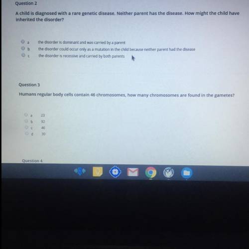 Questions 2 and 3 pls help
