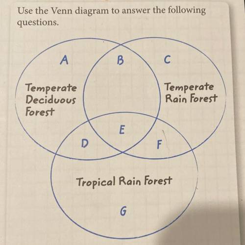 What is common among all three types of forests in the diagram?