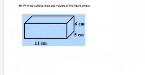 Find The Surface Area 5cm 6cm 11cm