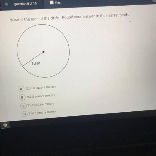 10m radius. What is the area of the circle? Round your answer to the nearest tenth.