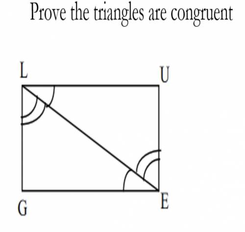 Prove the triangles are congruent