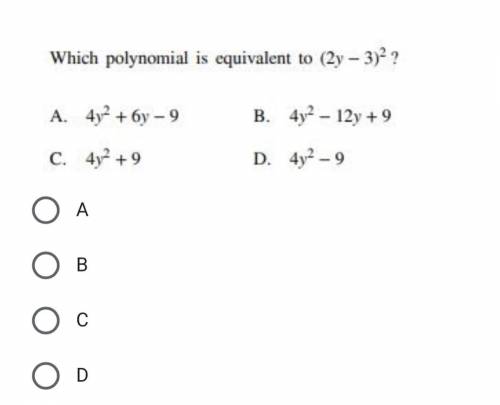 Which polynomial is equivalent to the expression