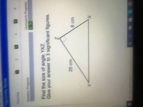 Find the size of angle YXZ. Give your answer to 3 significant figures.
