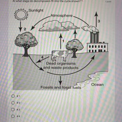 At what stage do decomposers fit into the cycle shown?