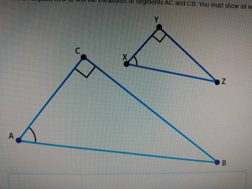 PLEASE HELP Use the image below to answer the following question. Find the value of sin x° and cos