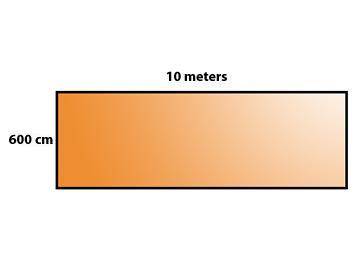 A rectangle measures 10 meters by 600 centimeters. Find the area of the rectangle in square meters.