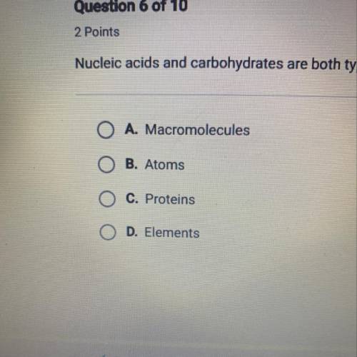 Nucleic acids and carbohydrates are both types of what?