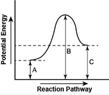 The diagram shows the potential energy changes for a reaction pathway. Part 1: Does the diagram ill