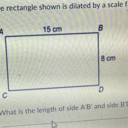 The rectangle shown is dilated by a scale factor of 1/5 What is the length of side A'B' and side B'