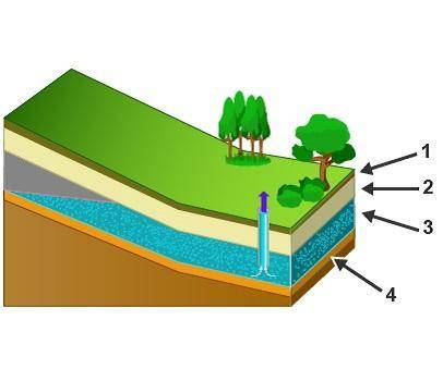 Please help! I will give Brainliest! The image shows a cross section of a landscape and a well.1: L