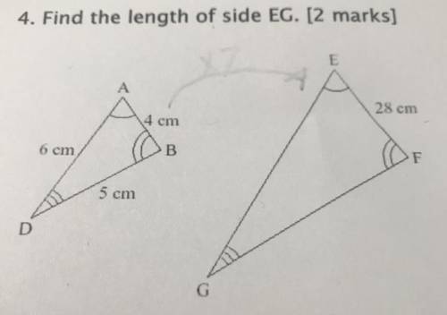 4. Find the length of side EG.