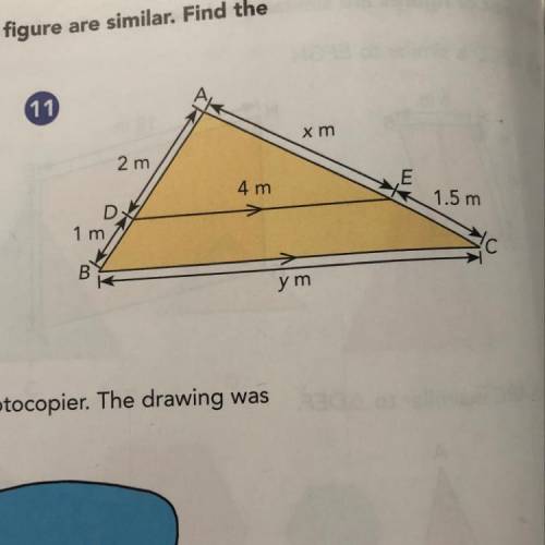 Explain, with a test, why the two triangles in each figure are similar. Find the

unknown lengths.