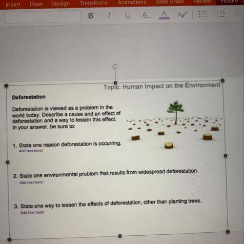 Topic: Human Impact on the Environment

Deforestation
Deforestation is viewed as a problem in the