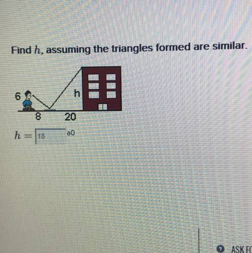 Find h, assuming the triangles formed are similar.