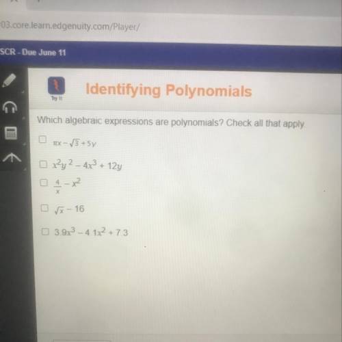 Which algebraic expressions are polynomials