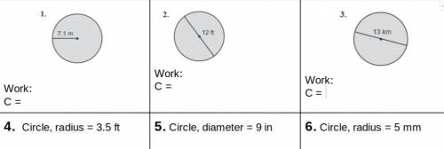 Find the circumference of each circle, use 3.14 for . Include units and round to the nearest tenth.