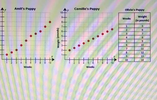 Whose puppy gained weight the slowest? How much did it gain per week?