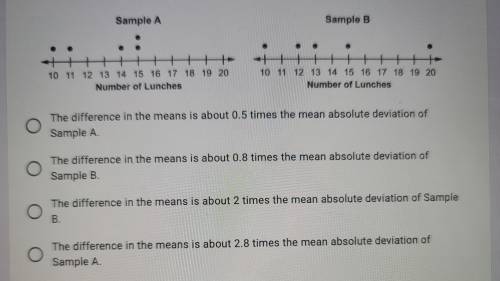 PLEASE HELP!

The dot plots show two different random samples of the number of lunches purchased i