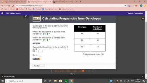Calculate the frequencies for the two alleles, B and b.
f(B) = 
f(b) =
