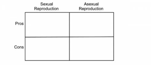What are the pros and cons of sexual and asexual reproduction?

leads to greater 
genetic variatio