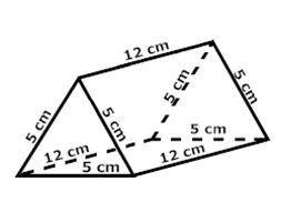 PLEASE HELP IM BEHIND AND SCHOOL IS OUT IN 2 DAYS

Are the bases of the prism equilateral triangle