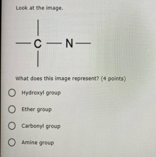 Hydroxyl, ether, carbonyl, or amine?