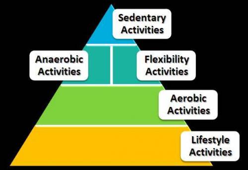 Where would the following activity BEST fit on the physical activity pyramid?

Heavy weight liftin
