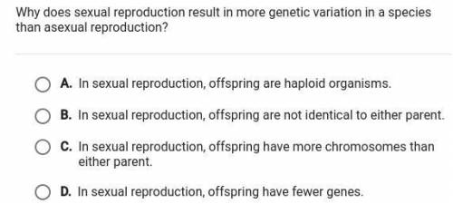 Why does sexual reproduction result in more genetic variation in a species than asexual reproductio